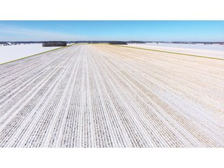 Property photo 16 - OHIO REAL ESTATE AUCTION - 202+/- ACRES IN 3 TRACTS IN VAN WERT COUNTY, OHIO